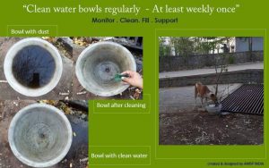 Water Bowls to Stray Animals