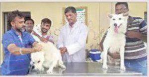 Pets_Administered_Anti_Rabies_Vaccine